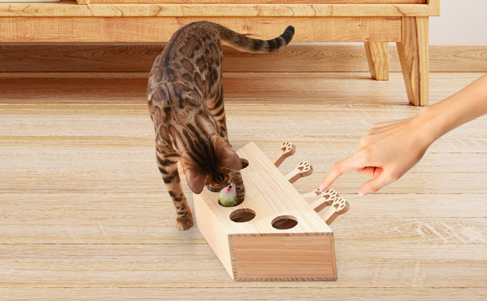 互动猫玩具