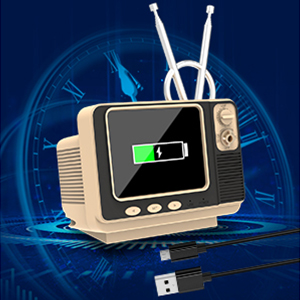 rechargeable games console