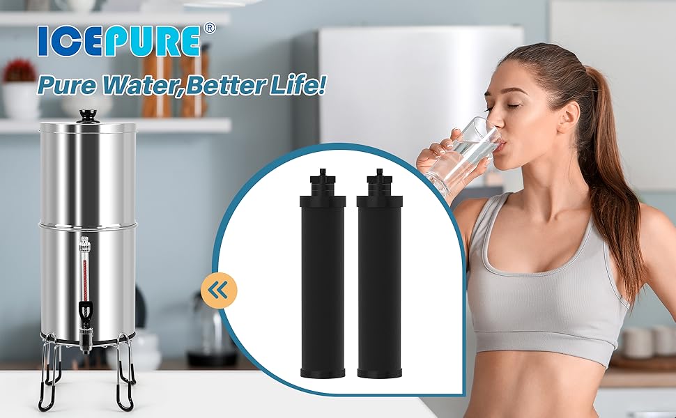 ICEPURE Water Filter Replacement for Berkey® BB92 Black Purification
