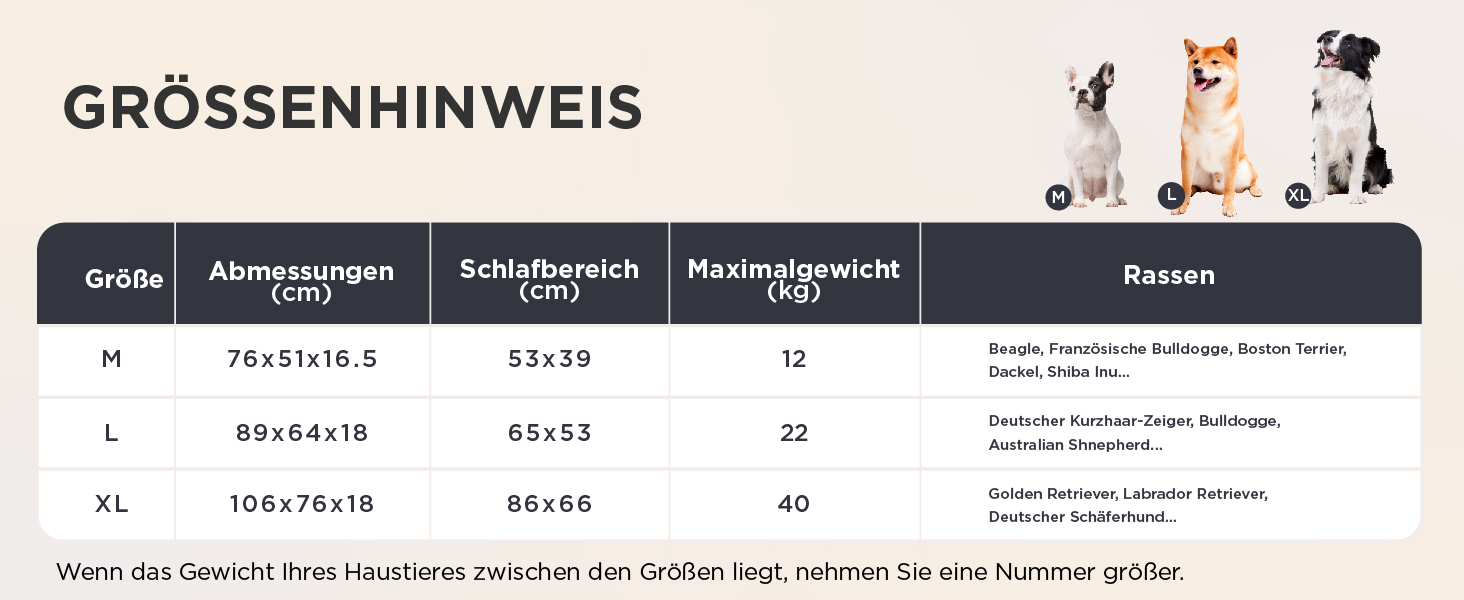 Aplus-Inhaltsbild