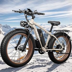 Electric Bike for Adults