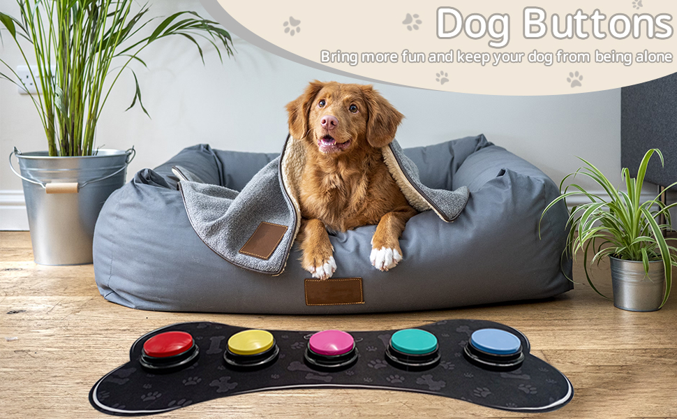 MEWOOFUN Dog Buttons Talk, Dog Talking Button Set With Mat, Dog Buttons