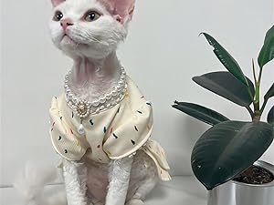 Pearls Jewelry Dog Necklace