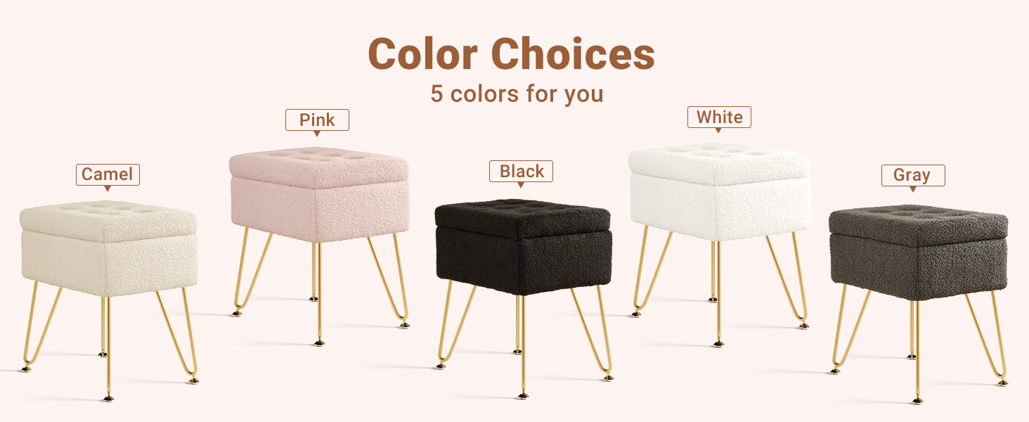 Vanity Stool Chair with Storage