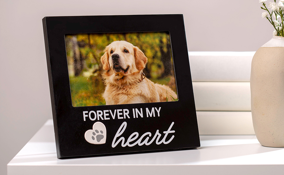 Pet picture frame displayed on tabletop in pet owner home