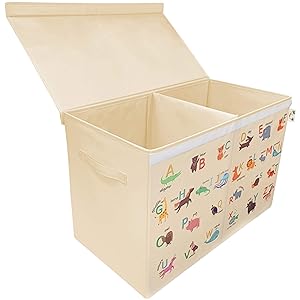 Ezylivin Toy Box with Lid