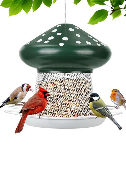 bird feeder