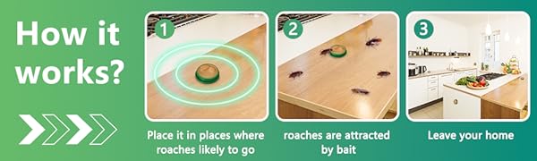 Cockroach Killer for Kitchens