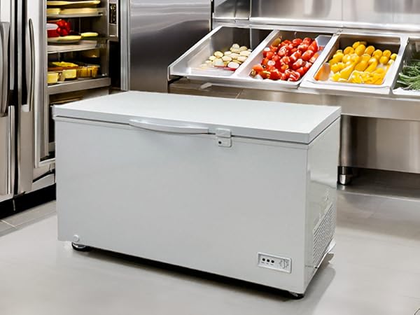 FREEZER タンブラー　Boss Amazon.com: Commercial Chest Freezer, All-Purpose Compact