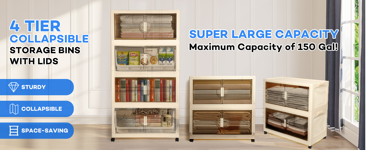 Storage Bins with Lids