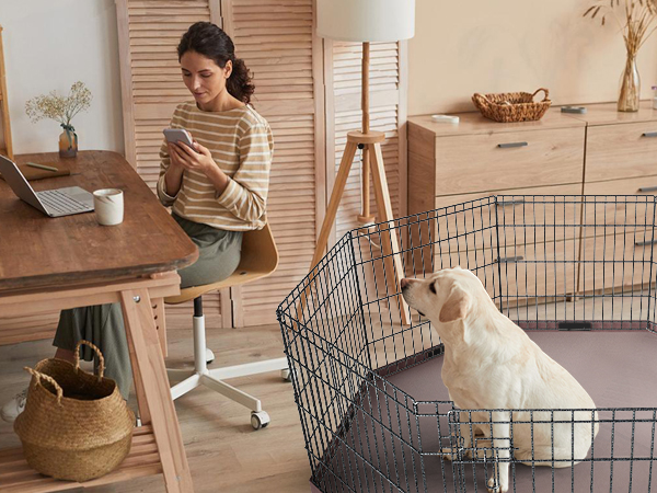新品未読　シェルタードッグズ Amazon.com : NEZUC Foldable Metal Dog Exercise Playpen Gate