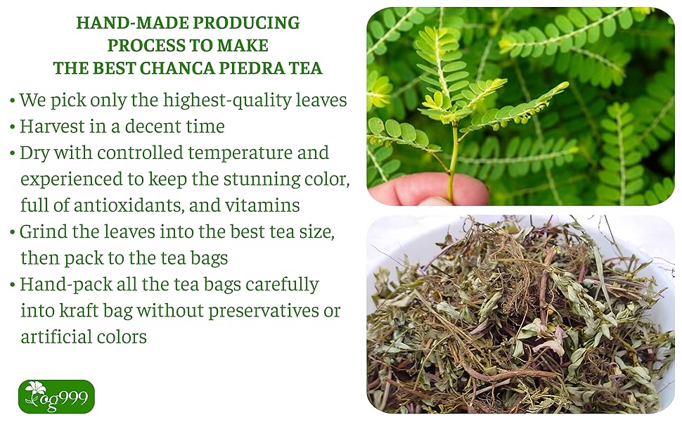 Chanca Piedra Leaf Tea bags