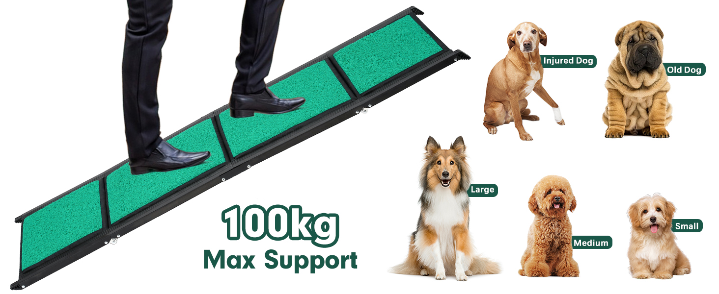 dog ramp for SUV