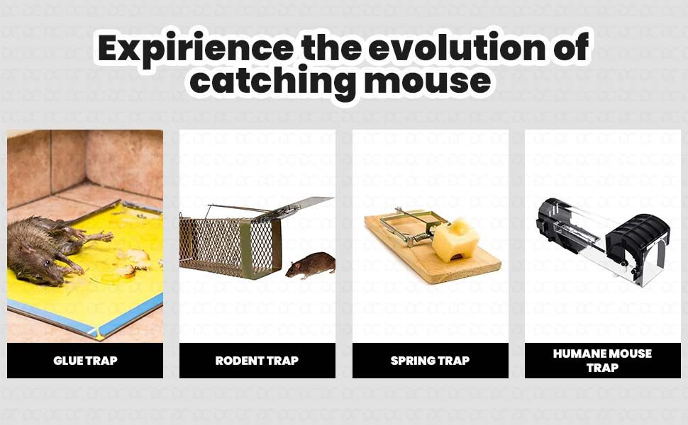 SPN-BFCC Rat trap cage