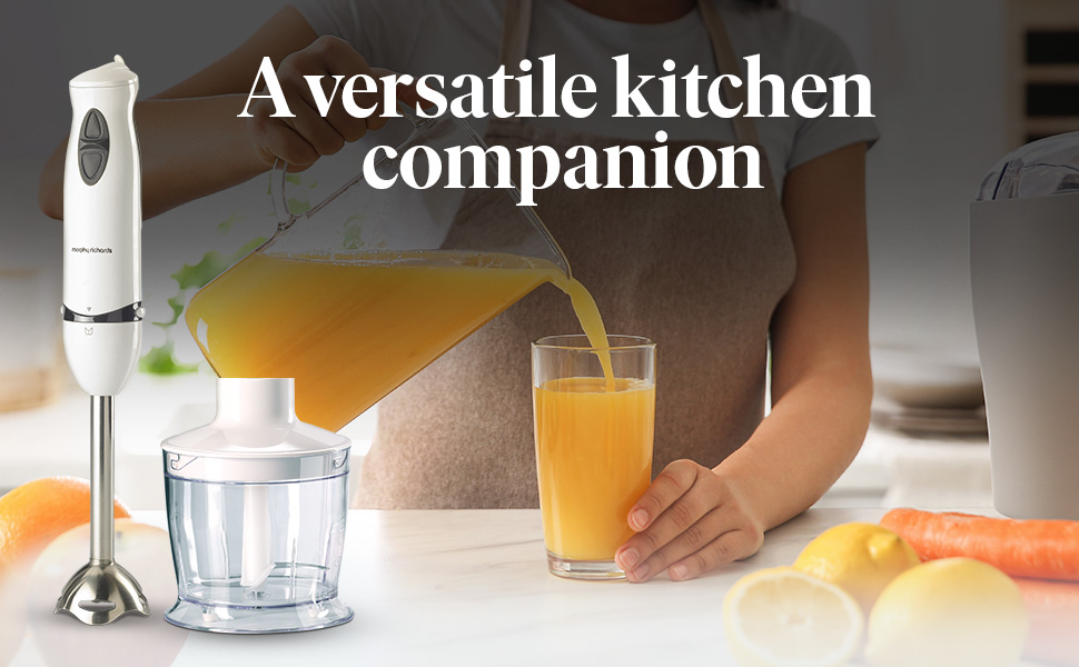 HBCS Hand Blender, 400W (White)