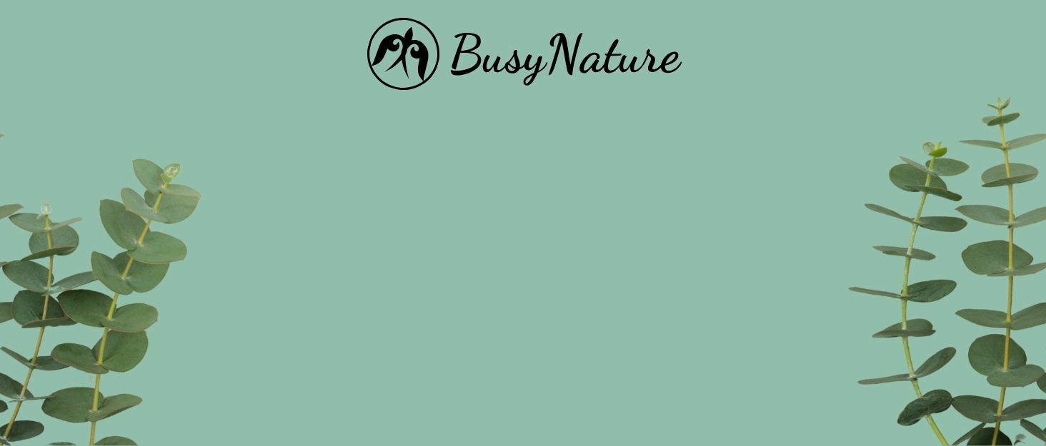 Natural 2-in-1 shampoo and conditioner bar for eco-conscious, plastic-free hair care