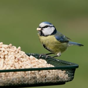 Small manufacture image 3