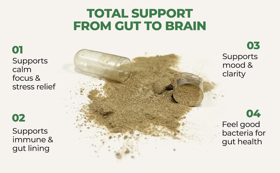 Gut-Brain Synergy Core Functions