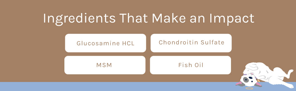 Hip & Joint Ingredients 