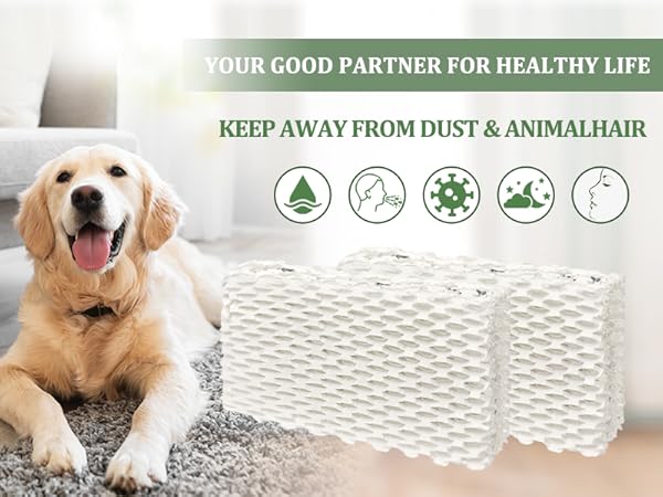 Wf813 Eqwf813 Humidifier Filters