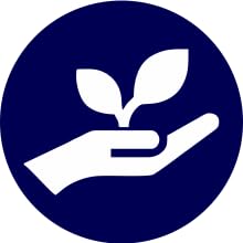 Sustainably Sourced Cotton