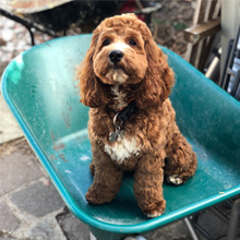 Small manufacture image 4