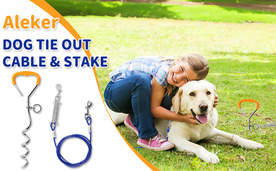 Dog tie-out cable and stake set featuring a blue cable, metal corkscrew stake, and swivel clip. Product shown with image of a person petting a dog outdoors.