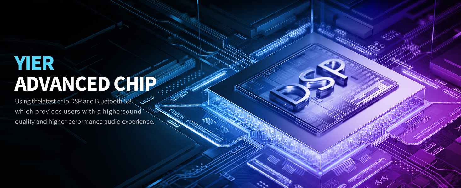 large bluetooth speaker with DSP chip process data quickly