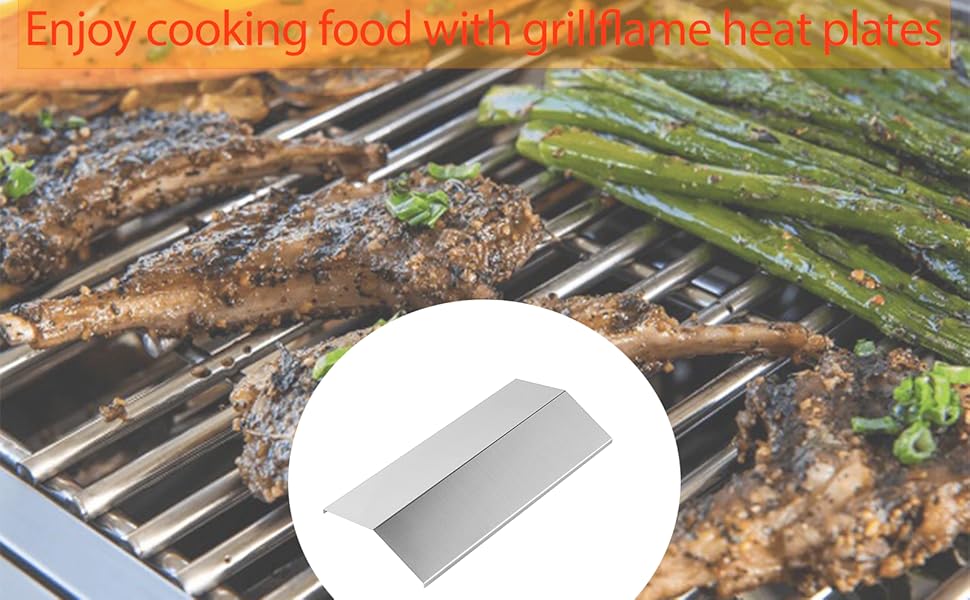 8200033 8200033M Grill Replacement Parts for 2 Burner