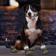 hundeschuhe