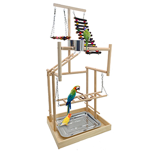 Hamileyi bird play gym