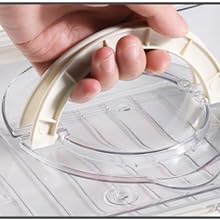 Divided Serving Tray