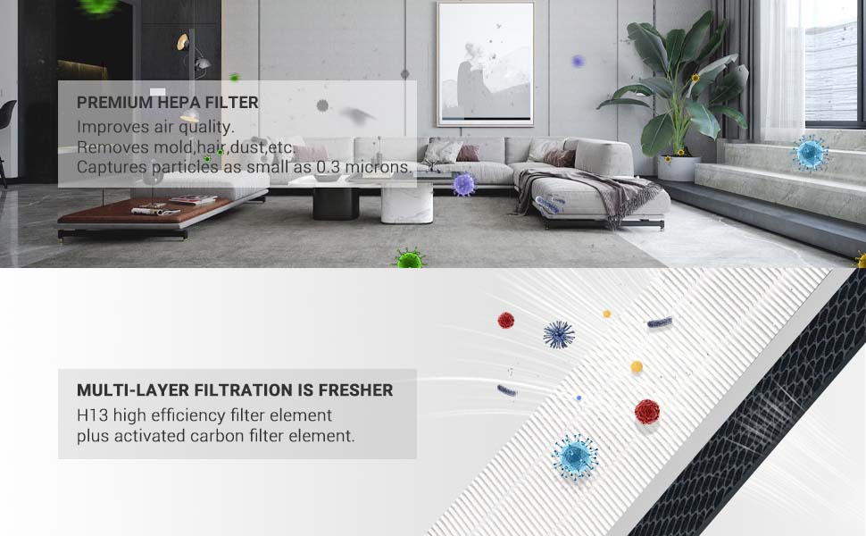 HSP001 Replacement Filter Compatible with HATHASPACE HSP001 Air