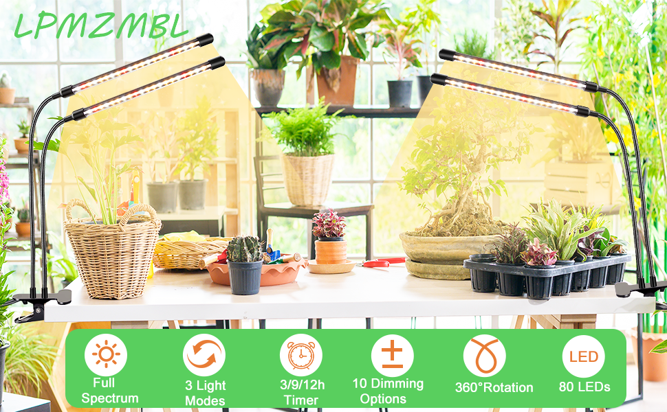 LPMZMBL A+Banner