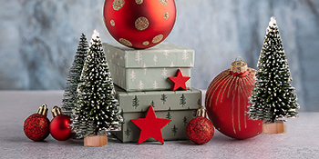 Perfect Christmas Gift