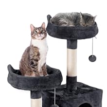 cat tree