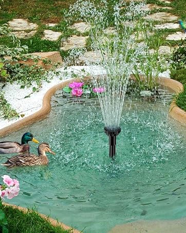 Biling Solar Water Fountain for Bird Bath, 2.5W Solar Powered Water Pump with 4ft Tubing DIY Water Features for the Garden, 6 Nozzles Solar Pond Pump for Hummingbird Bath, Small Pond and Fish Tank 20 57ffabae ab42 43ae a087 8e30b8d17d7a. CR372,0,704,881 PT0 SX362 V1
