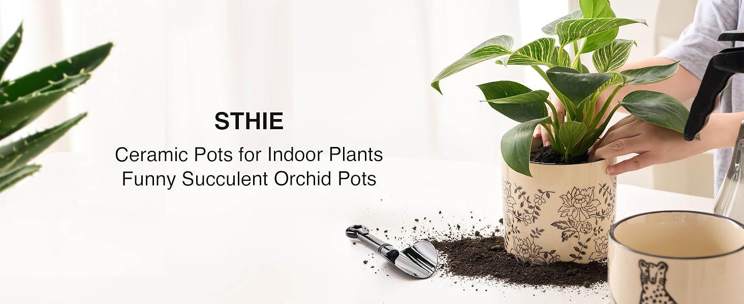 ceramic pots for indoor plants