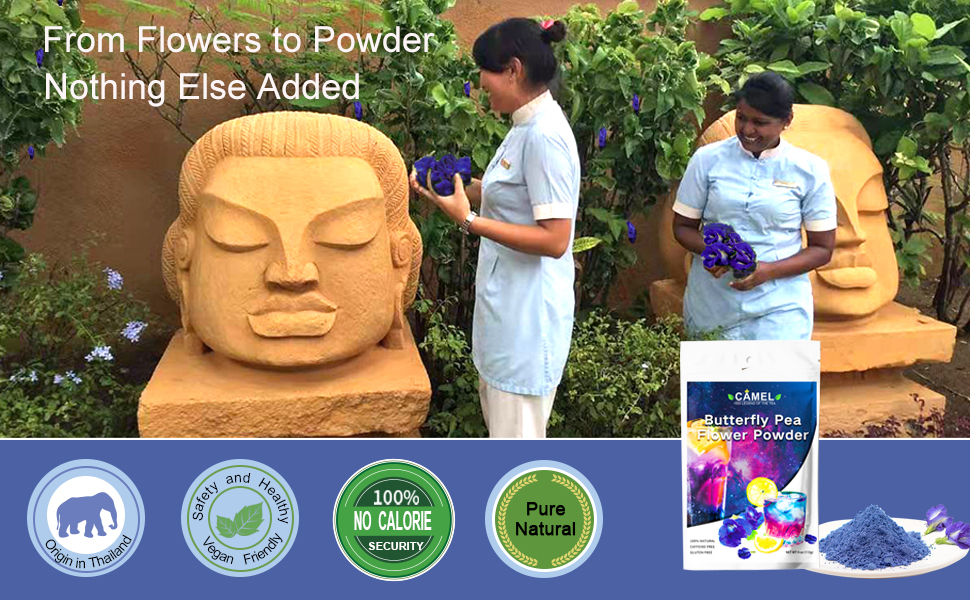 butterfly pea flower powder Grocery & Gourmet Food