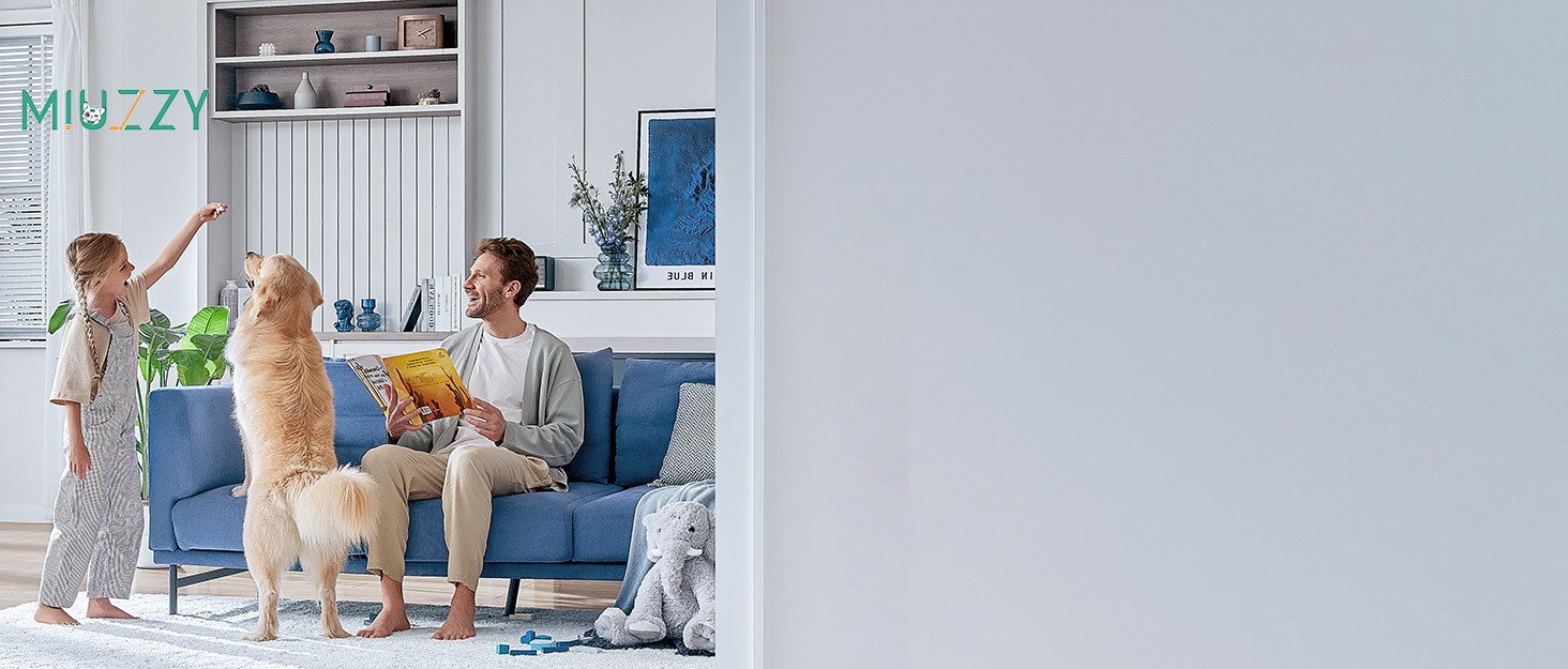 cordless vacuum cleaner for home