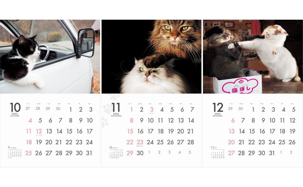 カレンダー2026 MARCO's CAT CALENDAR Comical ! 保護猫チャリティーカレンダー