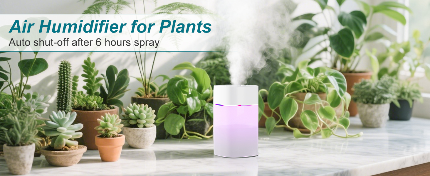 small humidifiers for plants