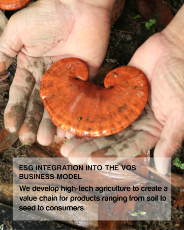 Mushroom Supplement - Everyday Dose of Strength