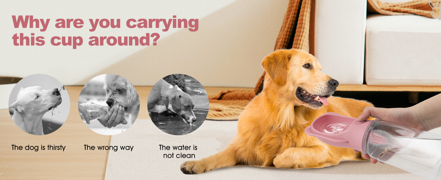 pets dispenser bowl with container for Large Small Medium Doggies