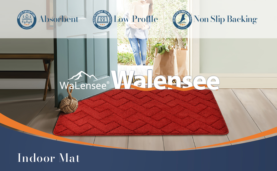 Walensee Indoor Doormat, Front Door Mat for Entrance (20