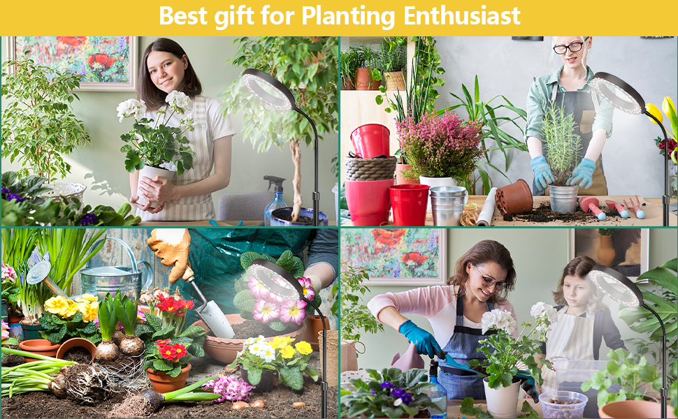 indoor children gril student light