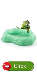 reptile bowl with kits accessories lizard geock bowl lamp luminous green