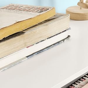 SoBuy Wall Storage Display Shelving, Wall Mounted Floating Drawer,FRG93-WN 17 FRG93-WN