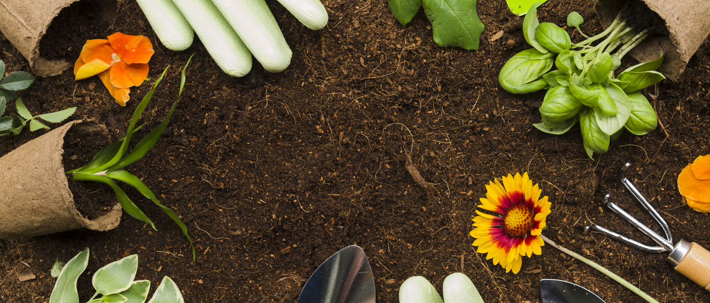 OnlyGarden Garden Arch