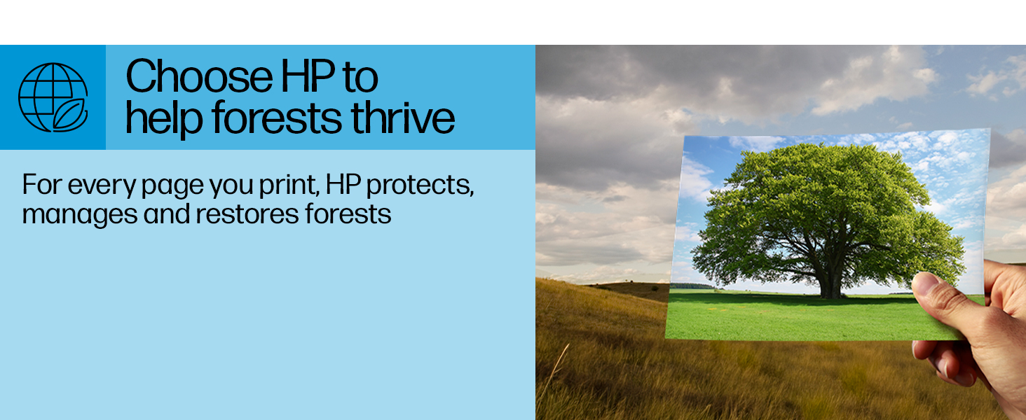 sustainable printing HP protects restores forests